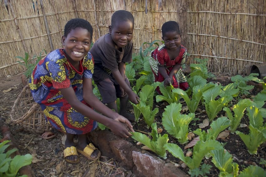 Tres niños trabajando en un jardín al aire libre