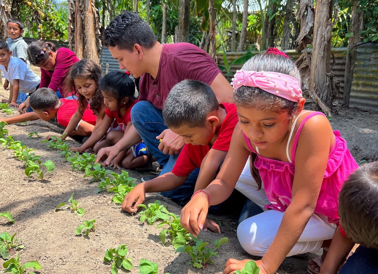Un grupo de niños cuidando un jardín al aire libre.