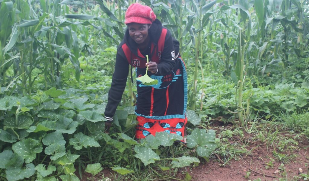 Catherine picking plants in the woods.