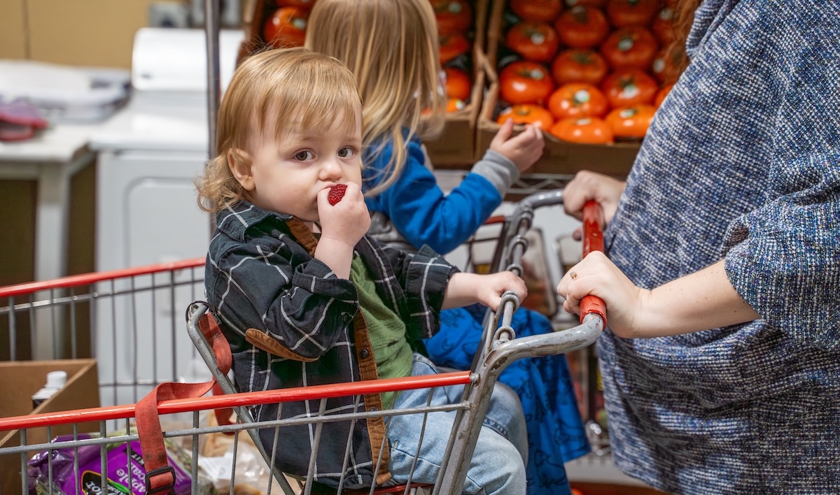 Children riding in a shopping cart in a grocery store.
